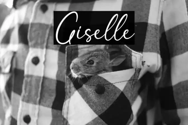 Giselle Font examples