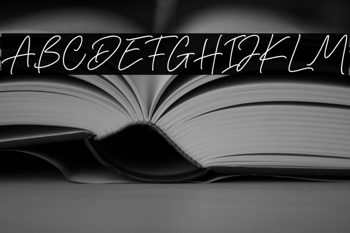 Gisellia Signature Example 1