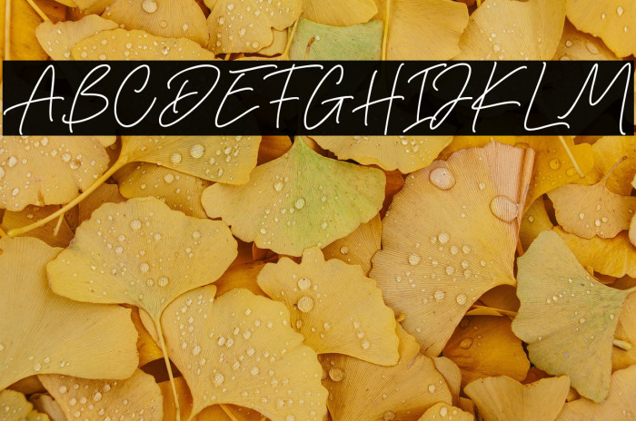 Gisellia Signature Example 2