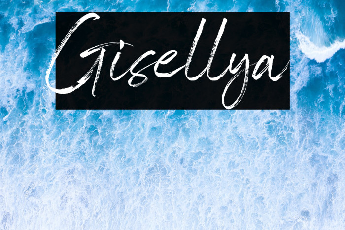 Gisellya Example 3
