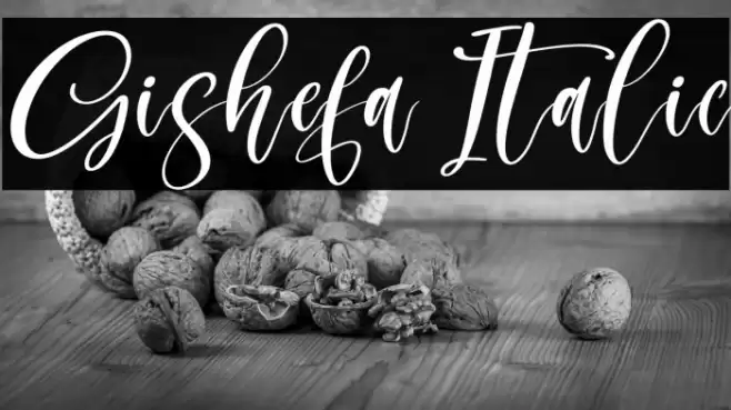 Gishefa Italic Schriftart examples