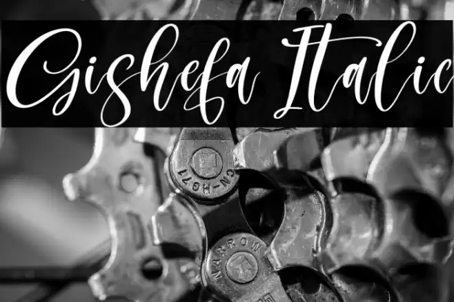 Gishefa Italic Schriftart examples