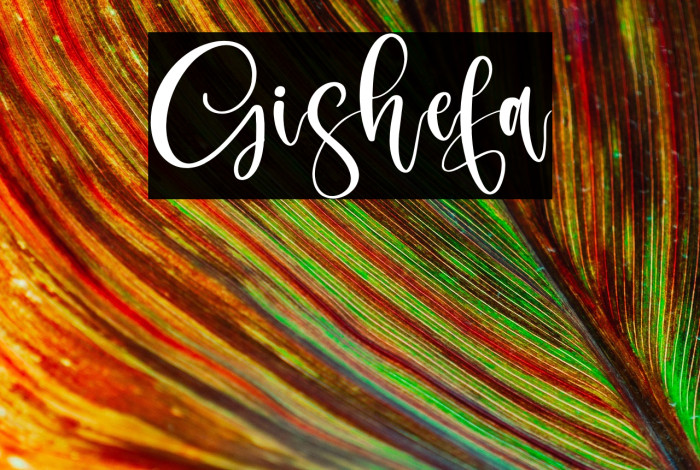 Gishefa Example 1