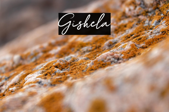 Gishela Example 2