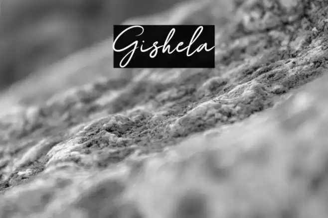 Gishela Font examples