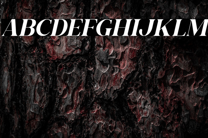 Gishella Morely Italic Example 1