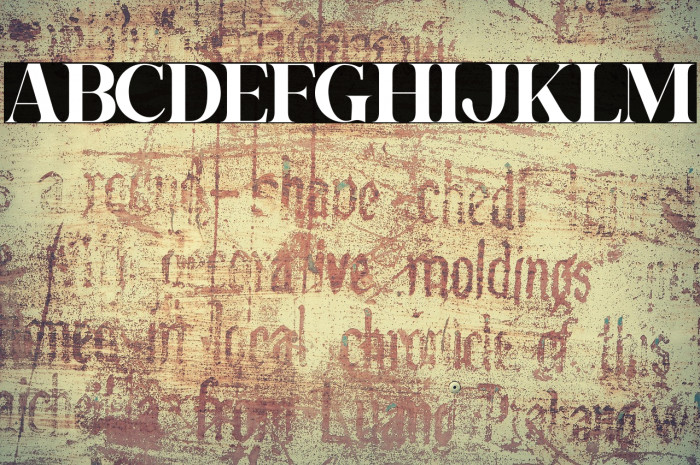 Gishella Morely Example 3