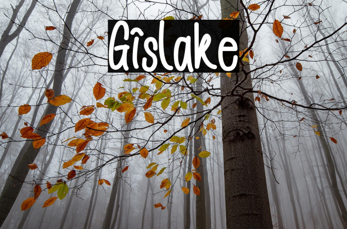 Gislake Example 2