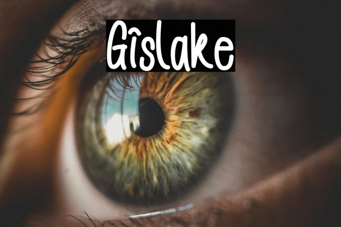 Gislake Example 3