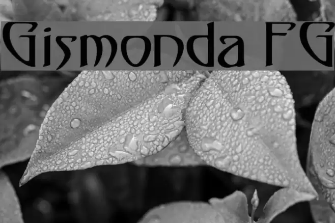 Gismonda FG Font examples