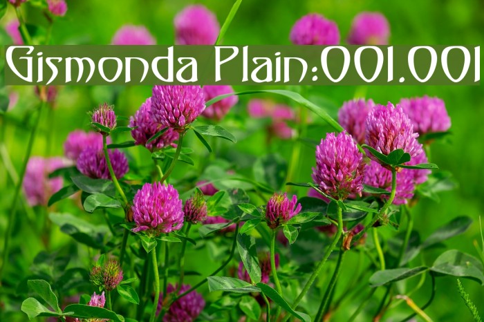 Gismonda [Plain]:001.001 Example 1