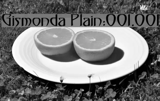 Gismonda [Plain]:001.001 Font examples