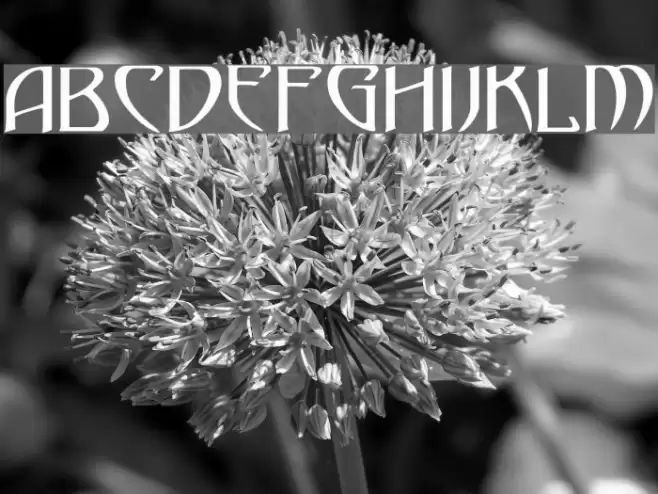 Gismonda Font examples