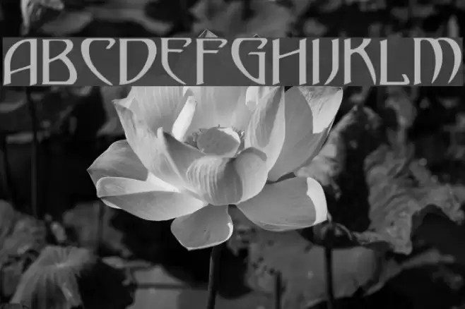 Gismonda Font examples