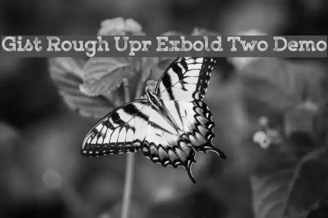 Gist Rough Upr Exbold Two Demo Font examples