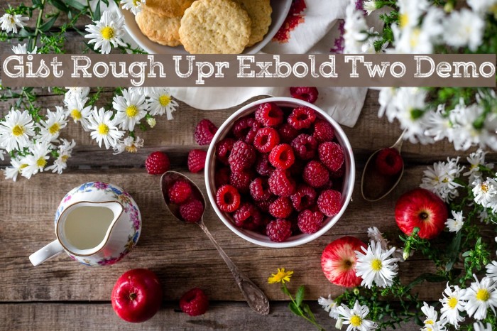 Gist Rough Upr Exbold Two Demo Font examples