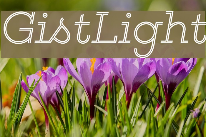 GistLight Font examples