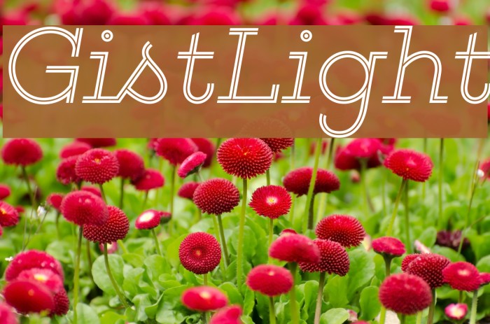 GistLight Font examples