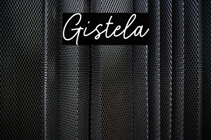 Gistela Example 1