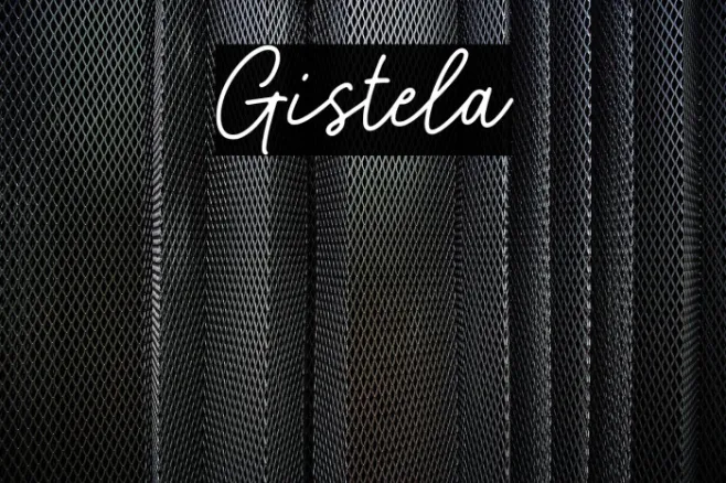 Gistela Example 1