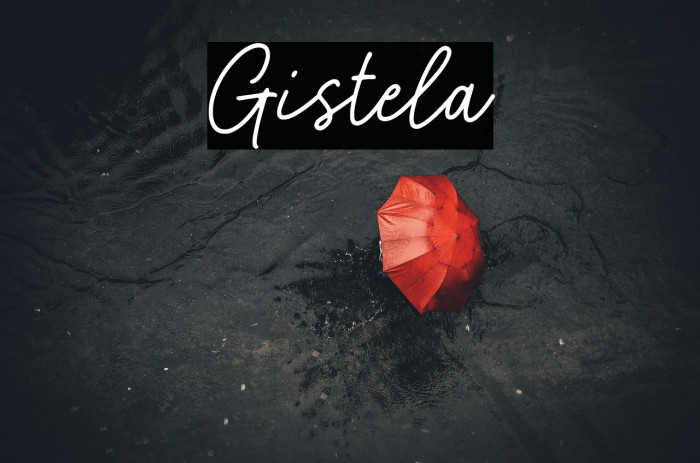 Gistela Example 2