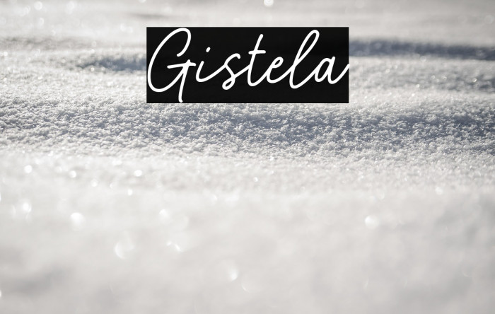 Gistela Example 3