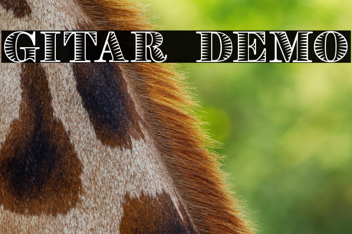 Gitar Demo Example 3