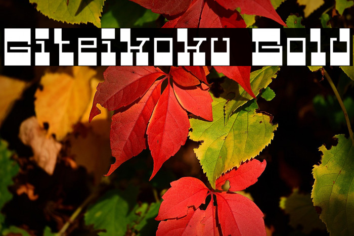 Giteikoku Bold Example 2