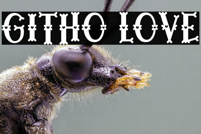 Githo Love Example 3