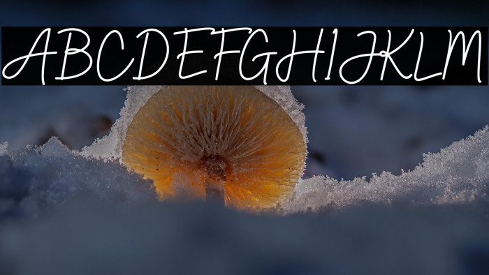 Gittany Signature Example 3