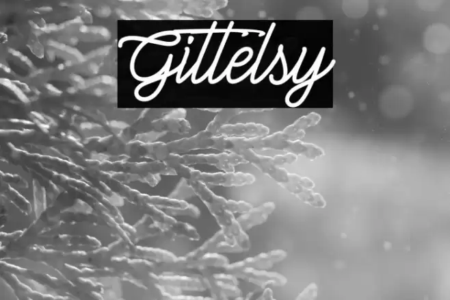 Gittelsy Font examples