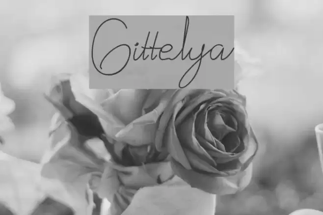 Gittelya Font examples