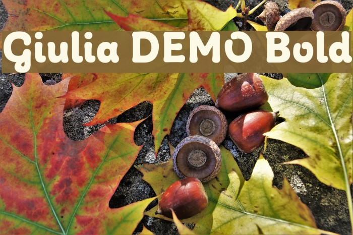 Giulia DEMO Bold Font examples