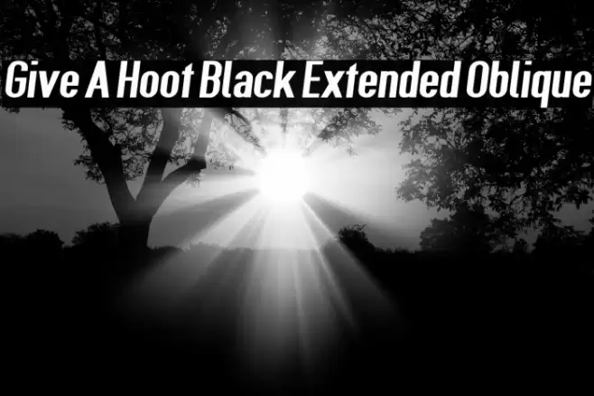 Give A Hoot Black Extended Oblique Font examples
