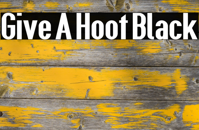 Give A Hoot Black Font examples