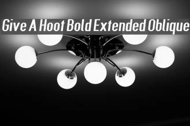 Give A Hoot Bold Extended Oblique Font examples