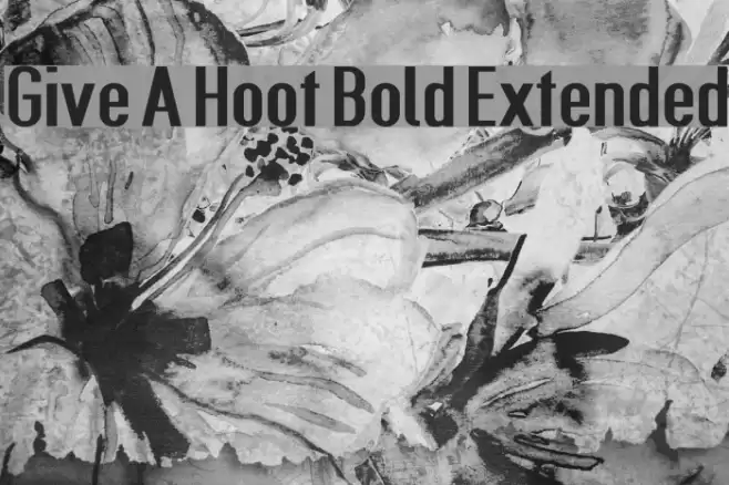 Give A Hoot Bold Extended Font examples