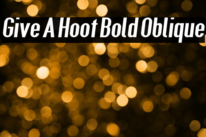 Give A Hoot Bold Oblique Font examples