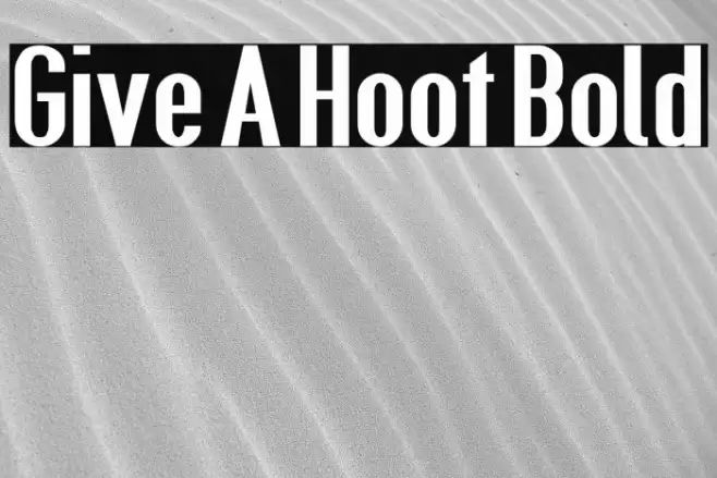 Give A Hoot Bold Font examples