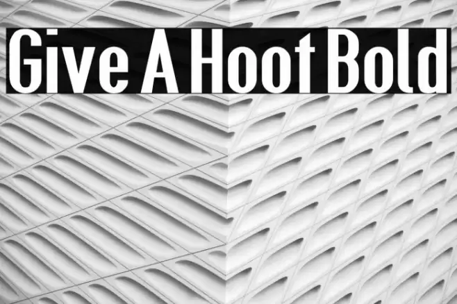 Give A Hoot Bold Font examples