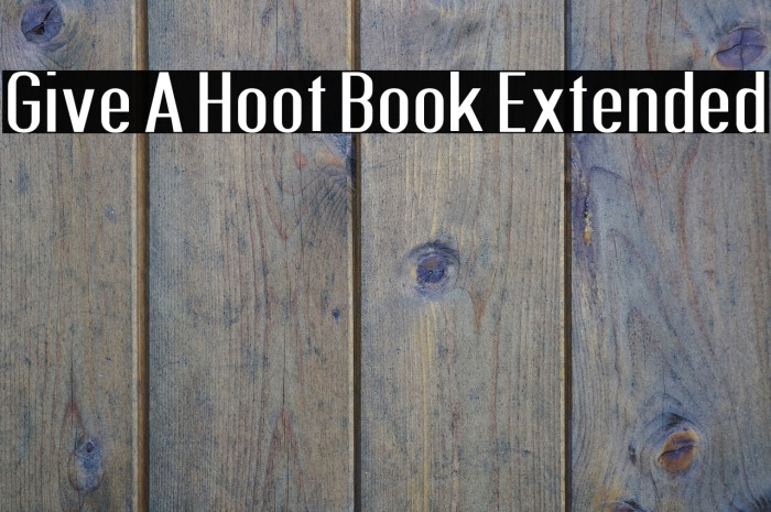 Give A Hoot Book Extended Example 1