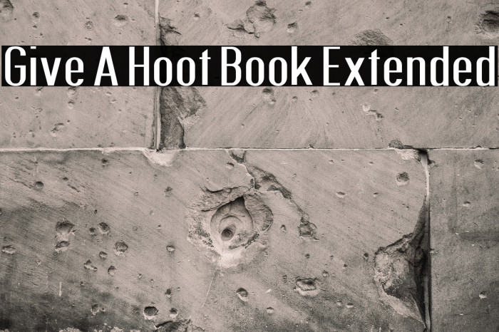 Give A Hoot Book Extended Example 3