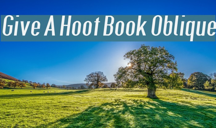 Give A Hoot Book Oblique Font examples