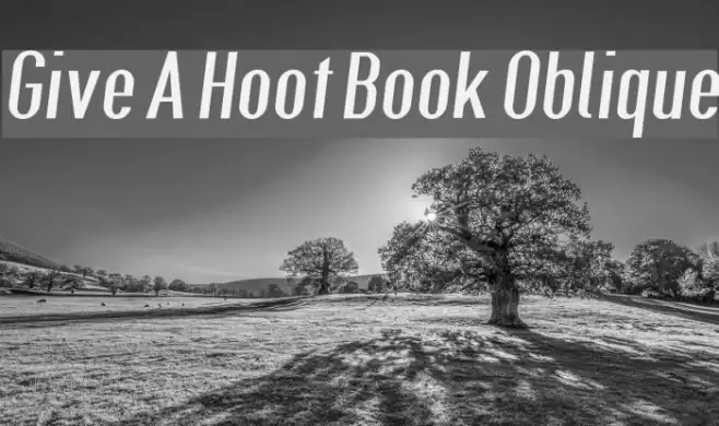 Give A Hoot Book Oblique Font examples