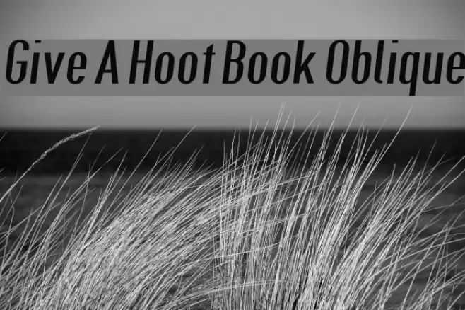 Give A Hoot Book Oblique Font examples