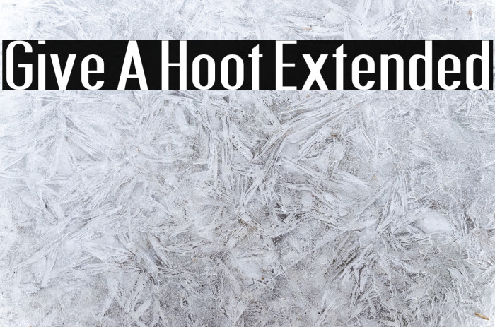Give A Hoot Extended Font examples