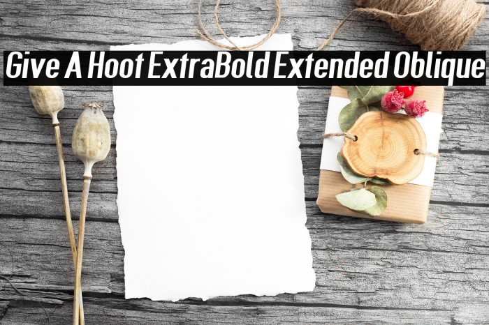 Give A Hoot ExtraBold Extended Oblique Font examples