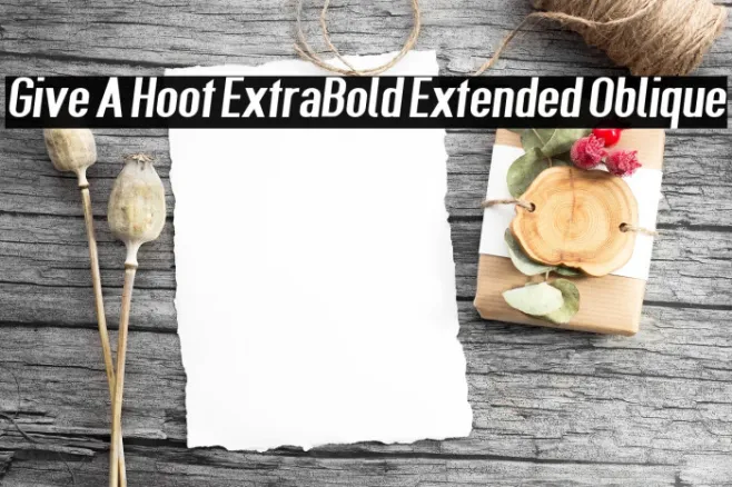 Give A Hoot ExtraBold Extended Oblique Example 1