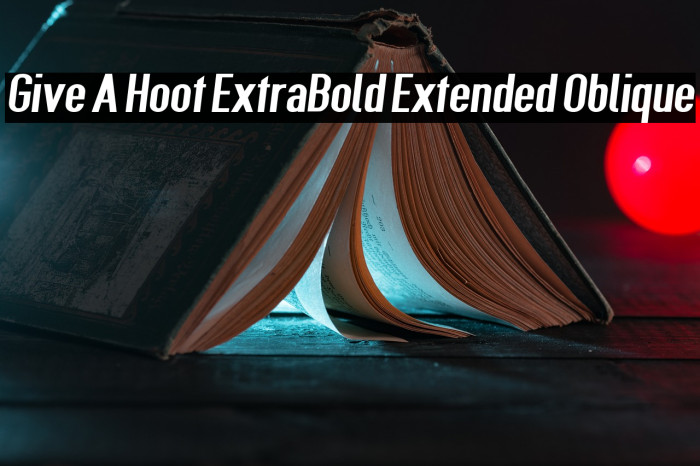 Give A Hoot ExtraBold Extended Oblique Font examples