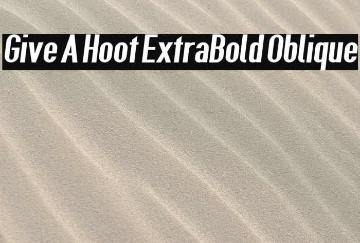 Give A Hoot ExtraBold Oblique Example 3